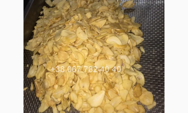 Сушильные шкафы для сушки фруктов, овощей. Фермер-2040 - фото № 6