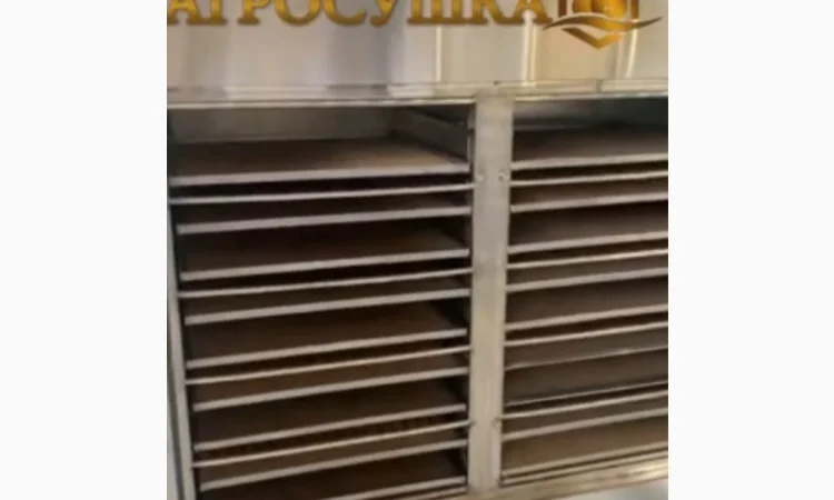 Сушильные шкафы для сушки фруктов, овощей. Фермер-2040 - фото № 2