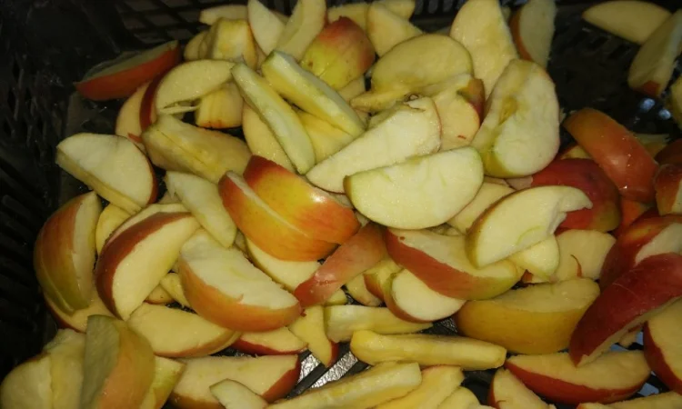 Настольная машина для резки яблок с удалением сердцевины. Яблокорезка - фото № 2