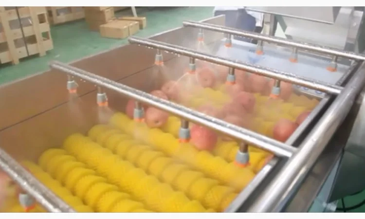 Машина для миття продуктів з ніжною шкіркою STvega Del Wash F15/30 - фото № 5