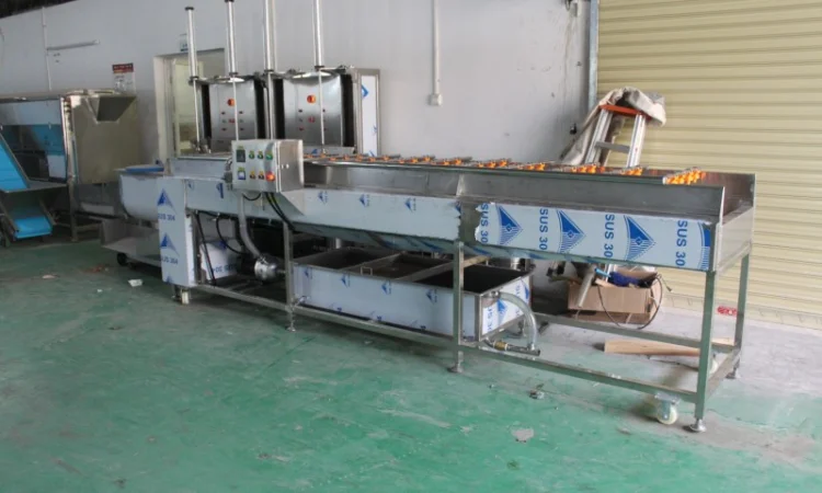 Машина для миття продуктів з ніжною шкіркою STvega Del Wash F15/30 - фото № 3