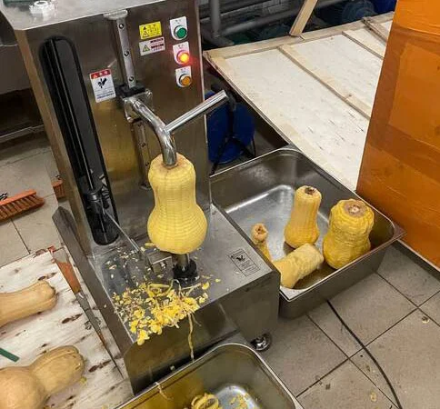 Машина для очищення гарбузових овочів від шкірки STvega VML H150 - фото № 3