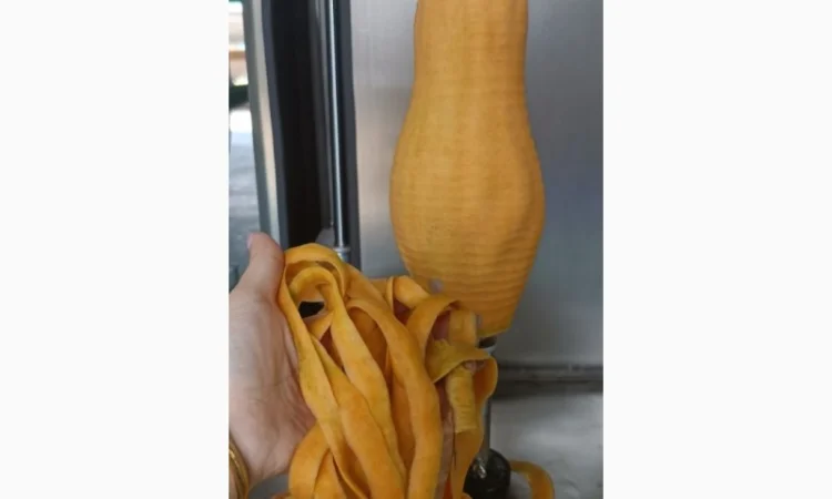 Машина для очищення гарбузових овочів від шкірки STvega VML H150 - фото № 5