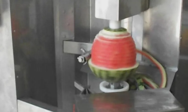 Машина для очищення гарбузових овочів від шкірки STvega VML H150 - фото № 8