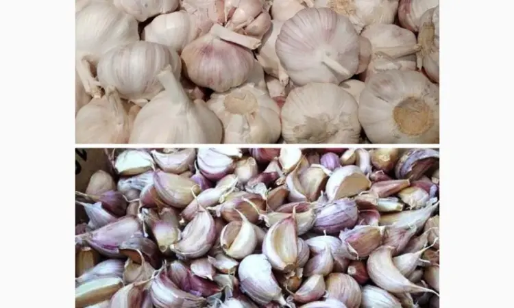 Дробилка для часнику: поділ головок часнику на зубчики STvega Garlic Separator - фото № 16