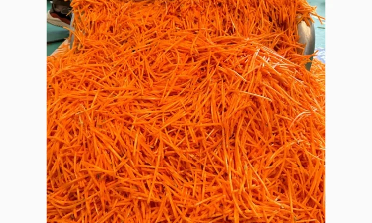 Промислова овочерізка для нарізки моркви по-корейськи STvega Strip Slicer H3000 - фото № 13