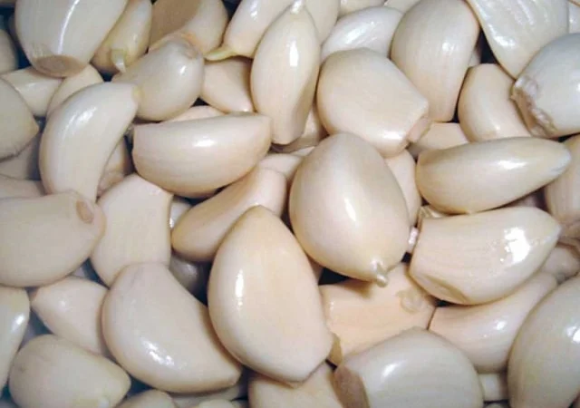 Машина для очищення зубчиків часнику від лушпиння STvega Garlic Peeler H100 - фото № 3