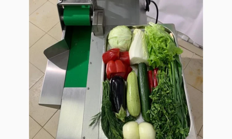 Овочерізка STvega Belt Cutter Combo для нарізки овочів, фруктів та зелені - фото № 1