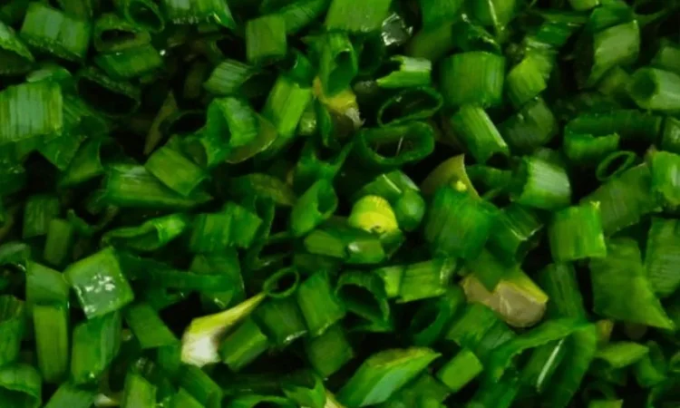 Овочерізка для нарізки та шаткування зелені, овочів та фруктів STvega Belt Cutter Mini - фото № 9