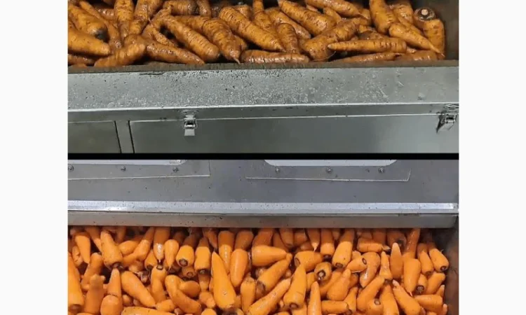 Машина для миття та очищення коренеплодів STvega ST F1200 - фото № 9