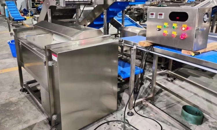 Машина для миття та очищення коренеплодів STvega ST F1200 - фото № 6