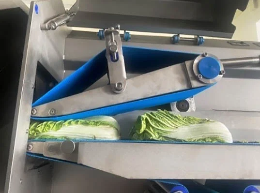 Овочерізка, нарізка та шаткування овочів та фруктів STvega Belt Cutter Pro L150 - фото № 7