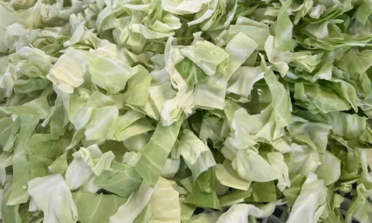 Овочерізка, нарізка та шаткування овочів та фруктів STvega Belt Cutter Pro L150 - фото № 13