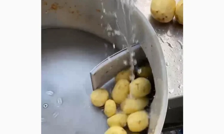 Машина для ножового очищення картоплі STvega KPel Potato H500 - фото № 6