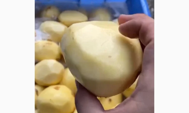 Машина для ножового очищення картоплі STvega KPel Potato H500 - фото № 7