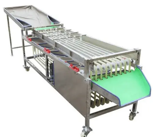 Сортировочно-калибровочная машина для овощей и фруктов STvega Sorting H2000 - фото № 1