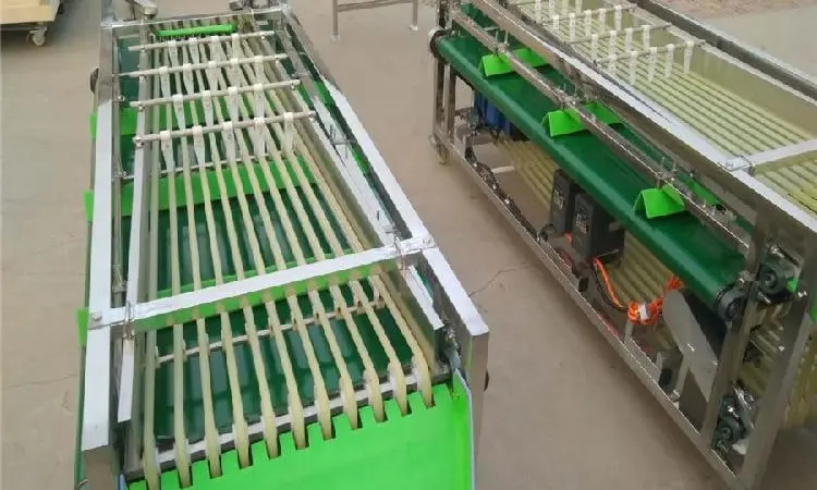 Сортировочно-калибровочная машина для овощей и фруктов STvega Sorting H2000 - фото № 3