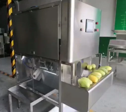 Очищення від шкірки та видалення кісточки манго STvega MP H800 A - фото № 1