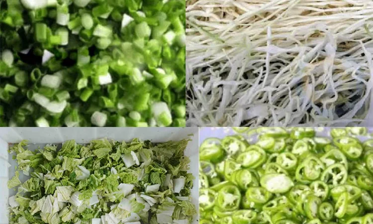 Овочерізка для нарізки овочевої та салатної продукції STvega Belt Cutter H200 - фото № 12