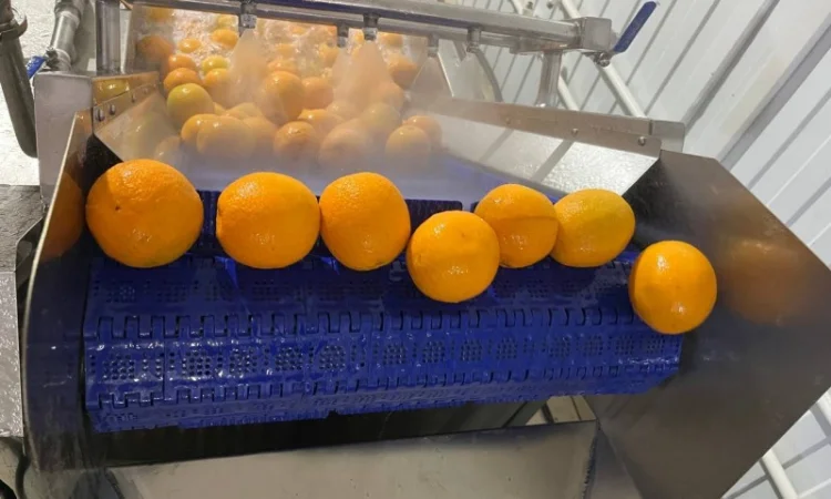 Барботажна ванна для делікатного миття продуктів STvega BW H2400 - фото № 9