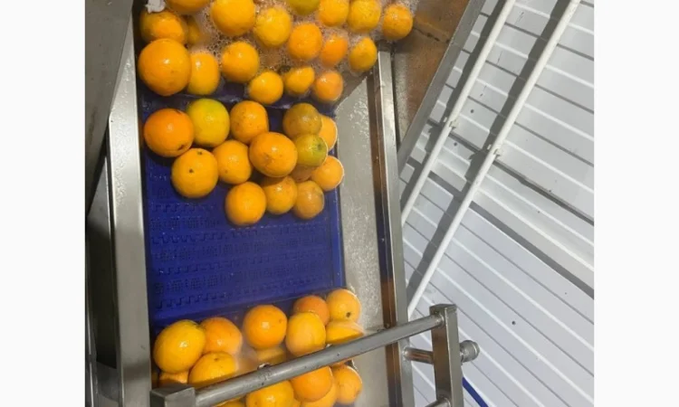 Барботажна ванна для делікатного миття продуктів STvega BW H2400 - фото № 10