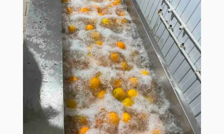 Барботажна ванна для делікатного миття продуктів STvega BW H2400 - фото № 11