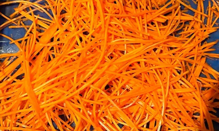 Овочерізка для нарізки соломкою (по-корейськи), слайсами STvega Carrot Shredder 500 - фото № 8