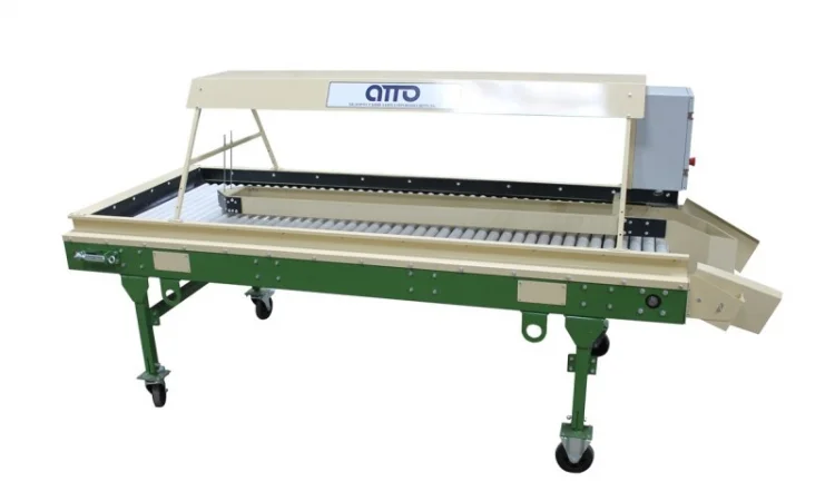 Стол роликовый инспекционный для картофеля, овощей, лука, моркови, фруктов КРИ-10 - фото № 2