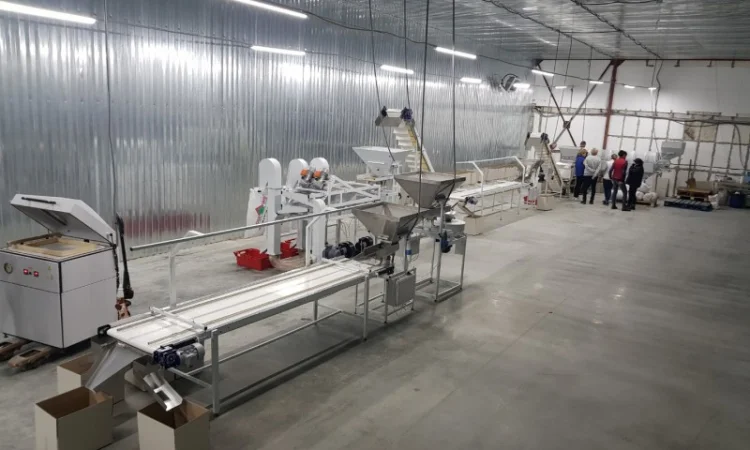 Обладнання по переробці горіхів. Лінія переробки горіхів. Горіхокол - фото № 1