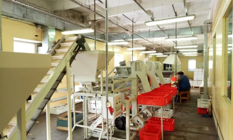 Обладнання по переробці горіхів. Лінія переробки горіхів. Горіхокол - фото № 2