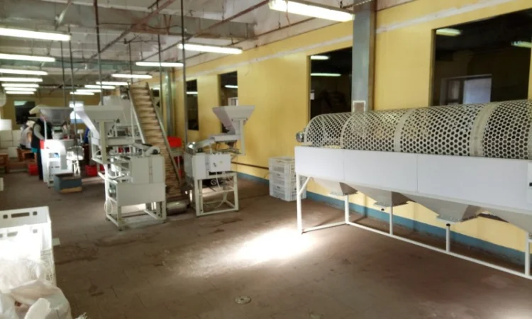 Обладнання по переробці горіхів. Лінія переробки горіхів. Горіхокол - фото № 3