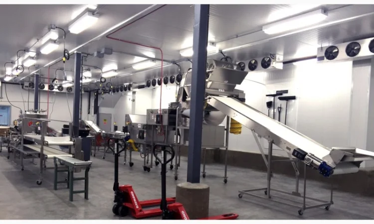 Лінія переробки лохини. Линия пераработки голубики - фото № 2