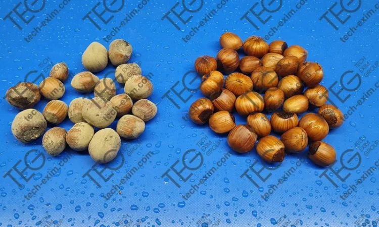 Мийка для горіхів (Полірувальник) 2408 - фото № 5