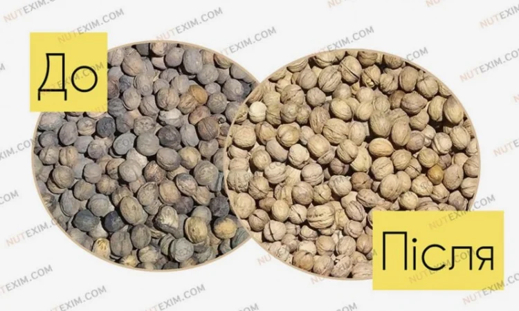 Мийка для горіхів (Полірувальник) 2408 - фото № 6