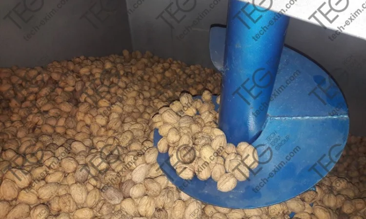 Сушильний комплекс «СВГ». Сушка для волоських горіхів та фундука - фото № 7