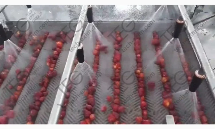 Щіткова миюча машина для ягід, овочів, фруктів і.т.д - фото № 1