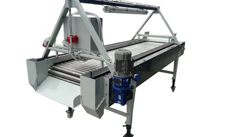 Лінія калібровки цибулі та інших овочів - фото № 6