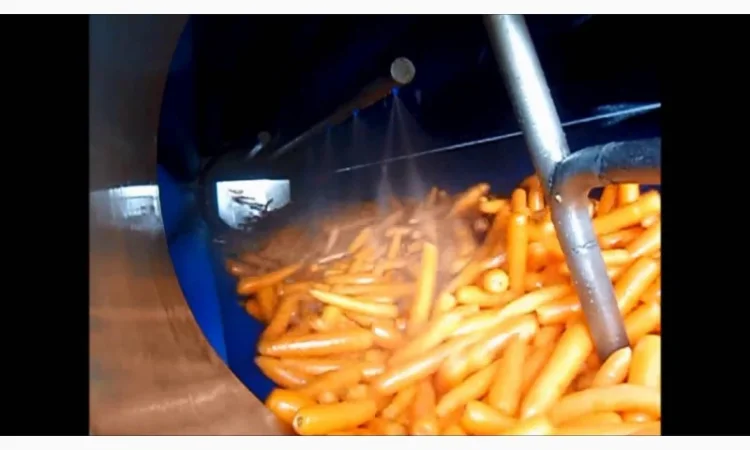 Барабанна мийка моркви та коренеплодів MBL, Pro-Vega - фото № 2