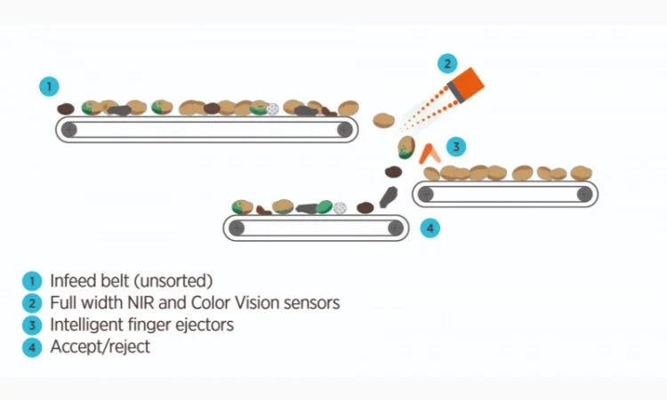 Оптическая сортировочная машина TOMRA-3A - фото № 3