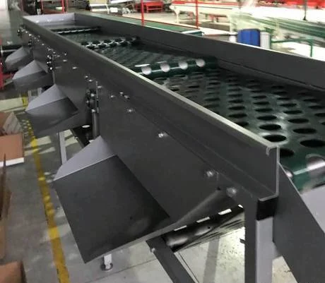 Калибратор ременной, ленточный (линейный) для грибов, улиток, ягод - фото № 2