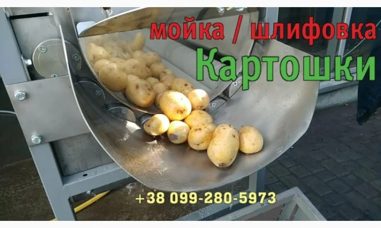 Комплексная линия для заготовки овощей (картофеля, моркови) к продаже и переработке - фото № 2