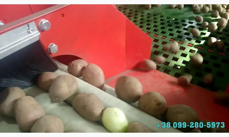 Комплексная линия для заготовки овощей (картофеля, моркови) к продаже и переработке - фото № 3