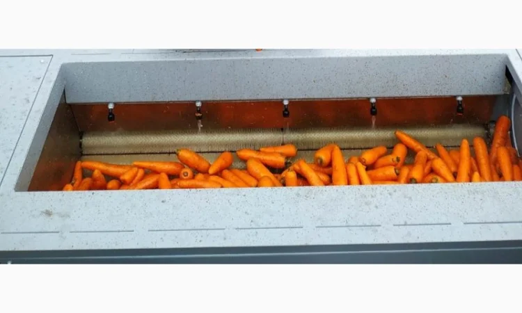 Порционная щеточная мойка для овощей, корнеплодов и орехов 1т/час - фото № 1