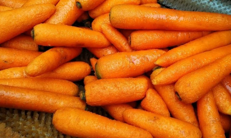 Порционная щеточная мойка для овощей, корнеплодов и орехов 1т/час - фото № 5