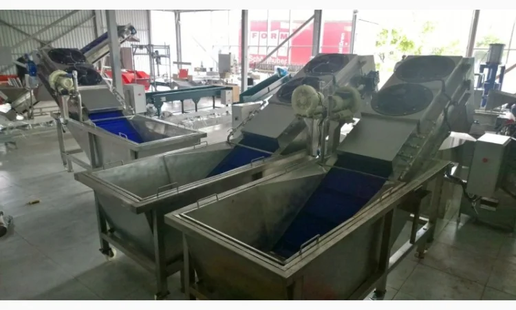 Барботажная моечная машина для ягод овощей фруктов с выгрузочным транспортером - фото № 1