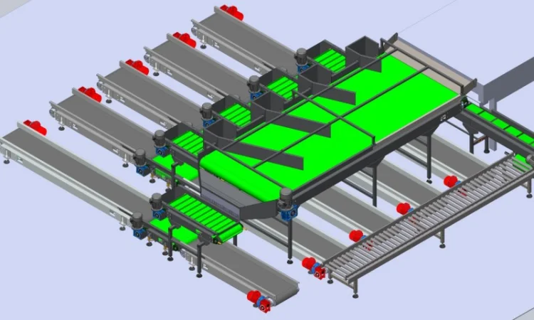Конвейерная линия фасовки фруктов, овощей, корнеплодов для последующей продажи - фото № 1