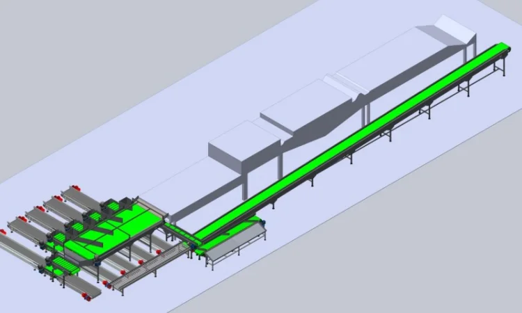 Конвейерная линия фасовки фруктов, овощей, корнеплодов для последующей продажи - фото № 2