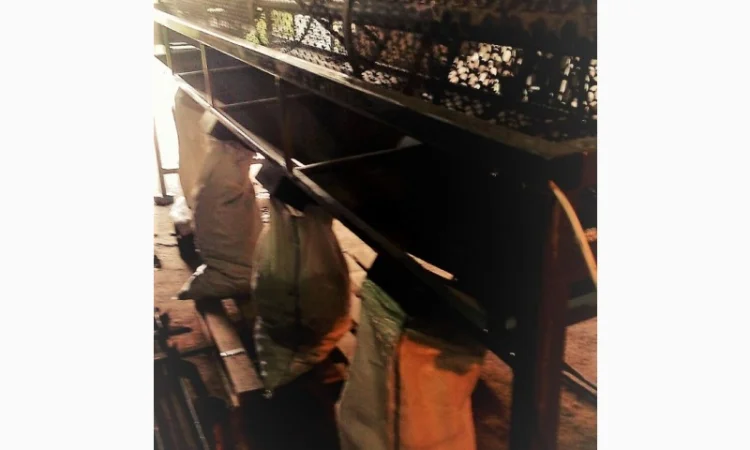 Роторный калибратор для разделения грецкого ореха по размеру - фото № 6