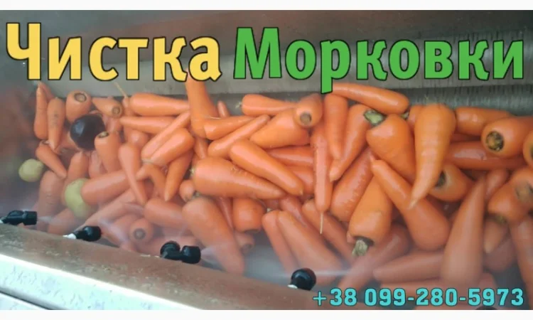 Мийка барабанна для картоплі, моркви та іншої городини, можлива комплектація абразивом - фото № 4