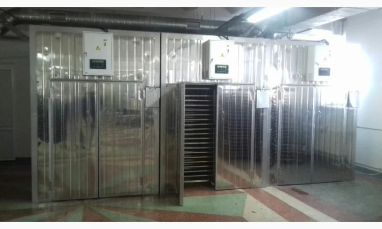 Сушильный шкаф для фруктов, овощей, макарон - фото № 1